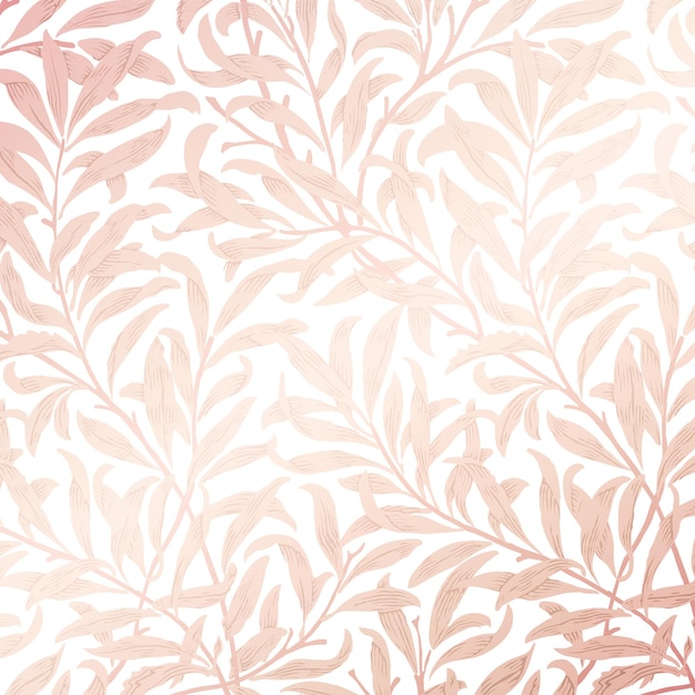 Padrão rosa fundo png desenho botânico vintage transparente