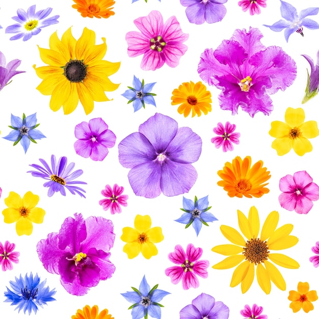 Padrão sem costura brilhante de flores coloridas em um fundo branco como pano de fundo ou textura Papel de parede floral primavera verão para seu design Vista superior Flat lay