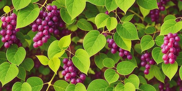 Padrão sem costura de uvas e videiras