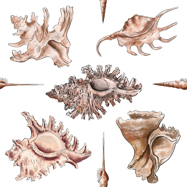 Padrão sem emenda de ilustração digital em aquarela de conchas do mar marrom no fundo