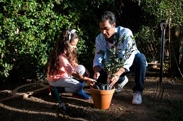 Padre e hija en maceta una planta en maceta en el patio trasero