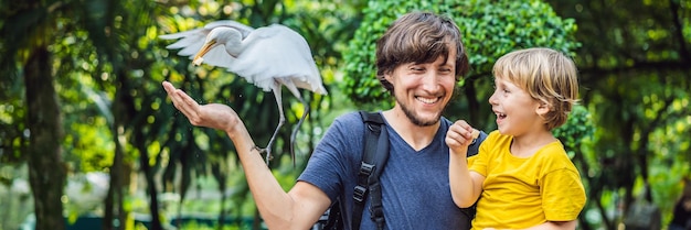 Padre e hijo alimentando ibes en el parque garceta bueyera bubulcus ibis familia waters edge