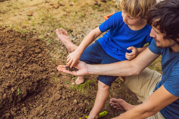 Padre e hijo cultivando un huerto en el jardín cerca de la casa