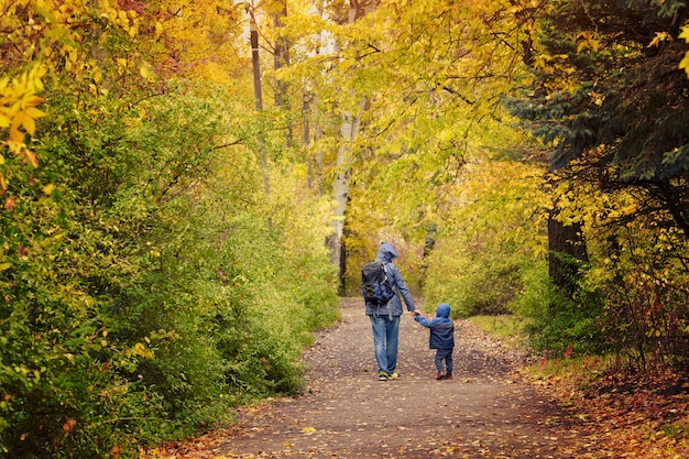 Padre e hijo están caminando por el parque de otoño con sus manos. Vista trasera