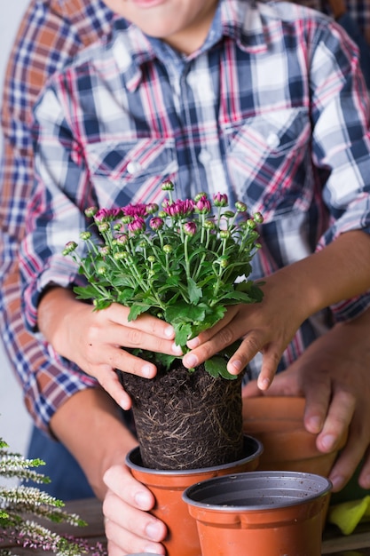 Padre e hijo haciendo huerto urbano en casa. Actividad que estimula la salud mental y cerebral. Plantar y cultivar flores de otoño, pasatiempo y ocio ecológicos, concepto de tiempo en familia.