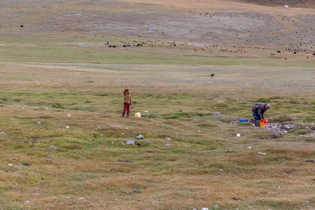 Padre e hijo toman agua en un balde de un pequeño río. Rebaño de ovejas y toros yak en el fondo