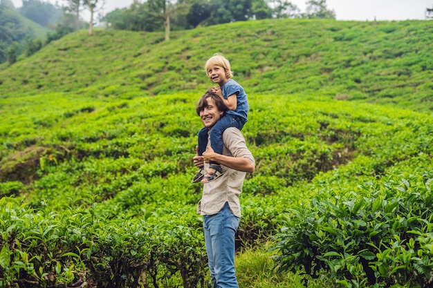 Padre e hijo viajan a una plantación de té en Malasia. Concepto de viajar con niños