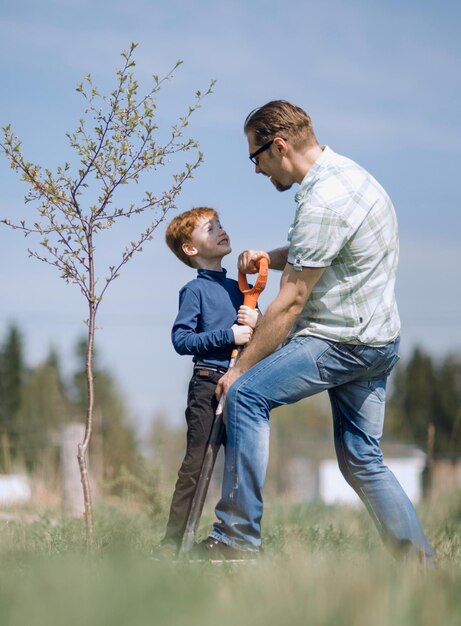 Padre explica a su hijo cómo plantar un árbolel concepto de educación familiar