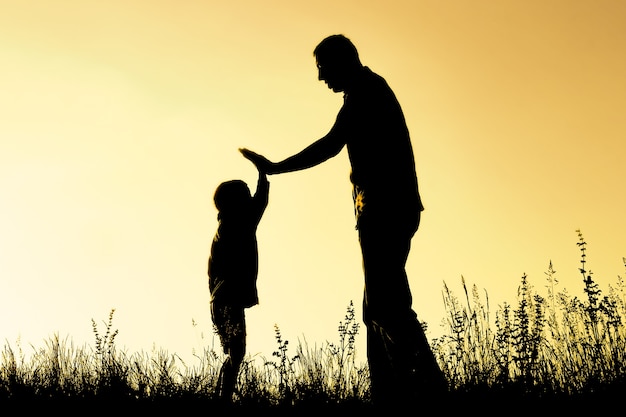 Foto padre feliz con el niño en la silueta del parque al aire libre