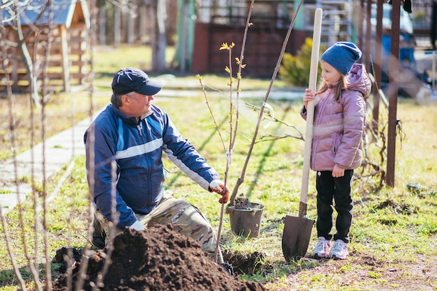 Padre feliz con su hija plantando un árbol frutal