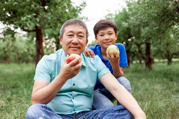 Padre y hijo asiáticos viejos recogiendo manzanas maduras en el jardín niño coreano con padre anciano