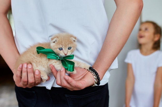 Padre hombre con gatito en la mano, sorpresa presentando cat