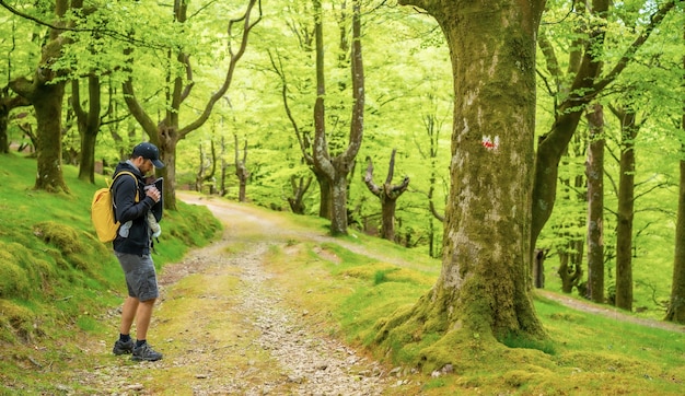 Un padre joven caminando con el niño recién nacido en la mochila por un sendero en el bosque rumbo al picnic con la familia