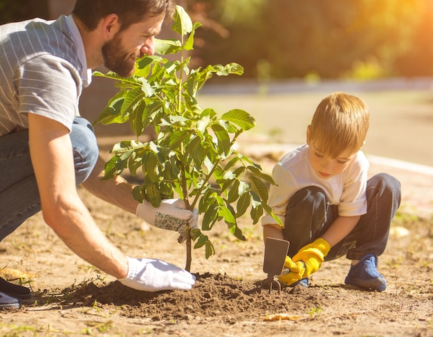 El padre y un niño plantan un árbol.