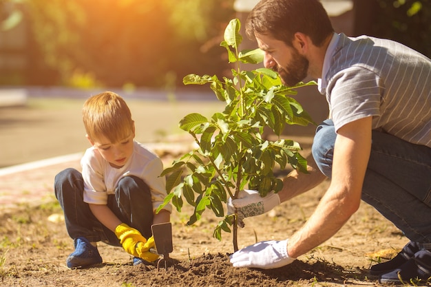 El padre y un niño plantan un árbol.