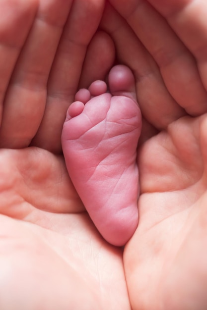 Padre sosteniendo el pie pequeño de su bebé recién nacido Orientación vertical