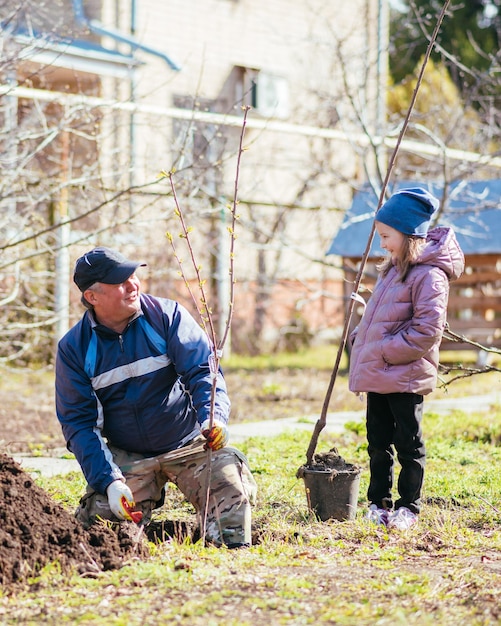 Un padre y su hija están plantando un árbol frutal.