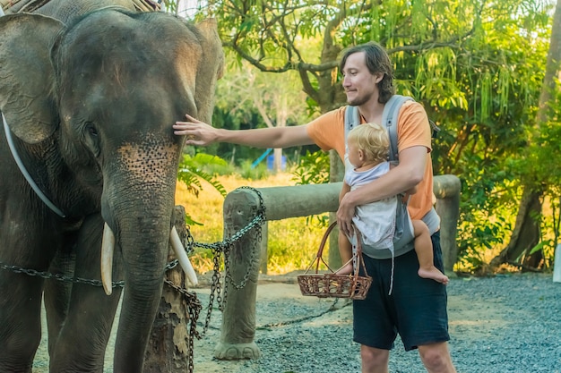 Padre con su hijo alimentando al elefante