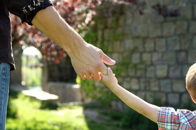 El padre tiene la mano de un niño pequeño en la naturaleza.