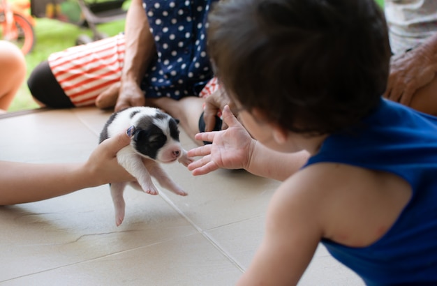 Los padres le dan cachorro al niño por primera vez.