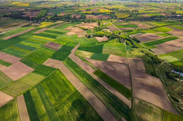Padrões de Campos Agrícolas em Vista Aérea de Drone Rural Rural