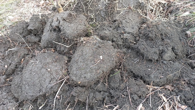 Padrões na Terra Detalhe de Sulcos de Escavação com Pá