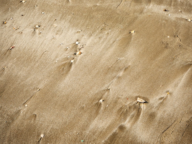 Padrões textura de areia na praia