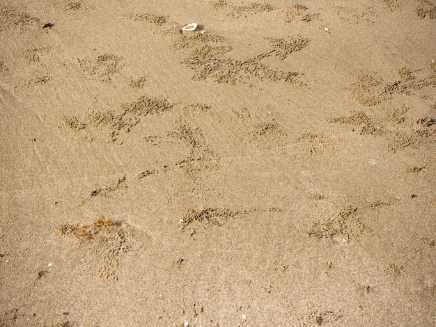 Padrões Textura de areia na praia