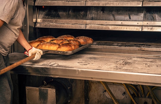 Pães assados do forno quente Conceito de fábrica de alimentos para padaria