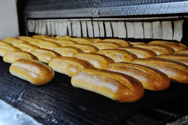 Pães fora do forno na padaria