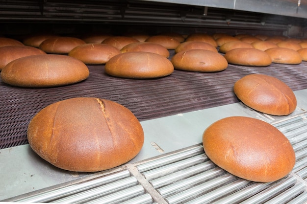 Pães recém-assados quentes na linha de produção