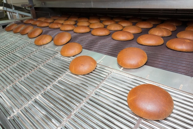 Pães recém-assados quentes na linha de produção