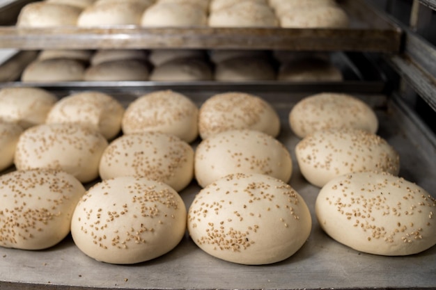 Pães redondos de hambúrguer de produção industrial na padaria