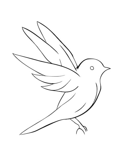 Página de colorear pájaros para niños Página imprimible Educación preescolar