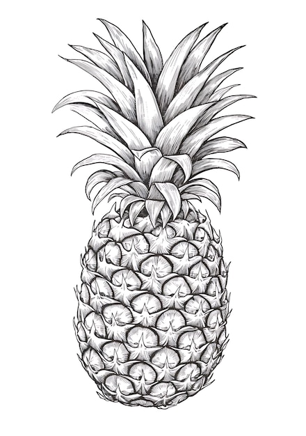 Páginas para colorear de libros para niños frutas