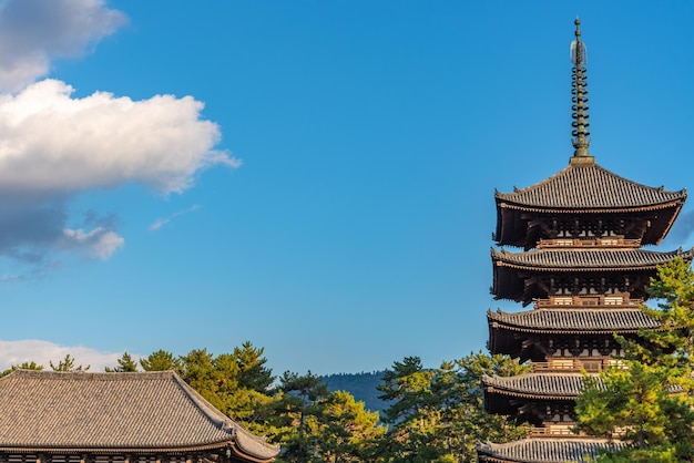 Pagoda de cinco pisos dentro del templo budista de Kofukuji