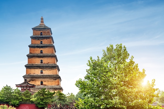 Pagoda del ganso silvestre de Xi&#39;an