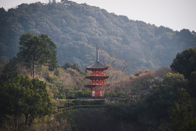 Pagoda en Kioto, Japón