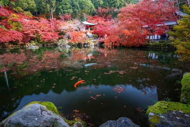 La pagoda roja y el puente rojo con el estanque y el color cambian los árboles de arce en el templo Daigoji en la temporada de otoño en noviembre en Kyoto, Japón.