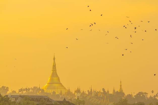 La pagoda de Shwedagon al atardecer, la Gran Pagoda de Dagon en Yangon Myanmar