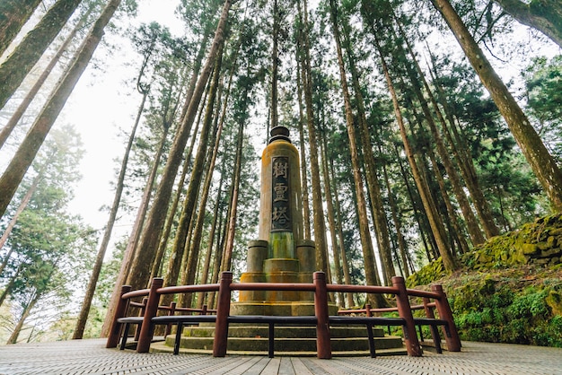 Pagoda de The Tree Spirit en Alishan National Forest Recreation Area.