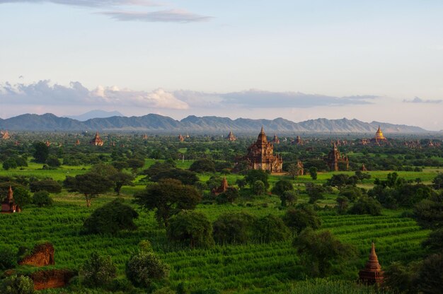 Foto pagodas en el campo contra el cielo