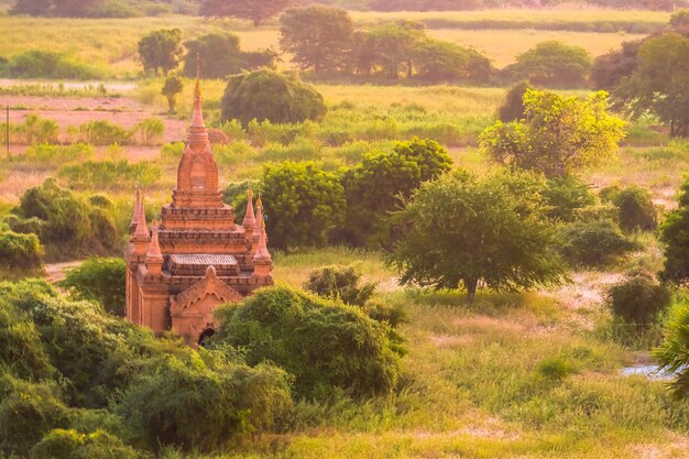 Pagodenmeer in Bagan