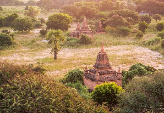 Pagodenmeer in Bagan