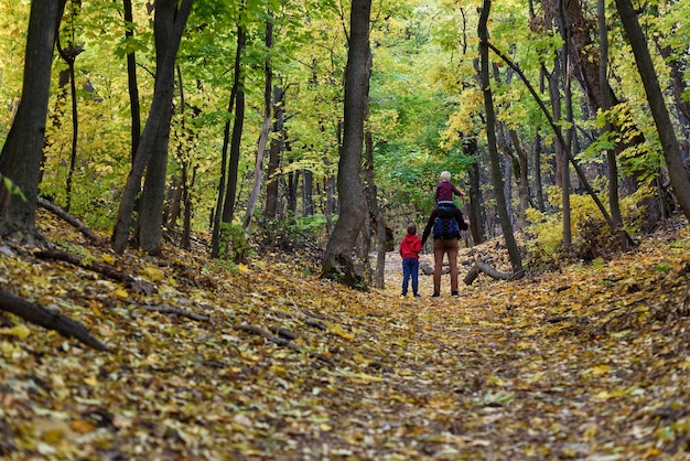 Pai e dois filhos caminhando na floresta de outono. Filho mais novo sentado nos ombros do pai. Vista traseira