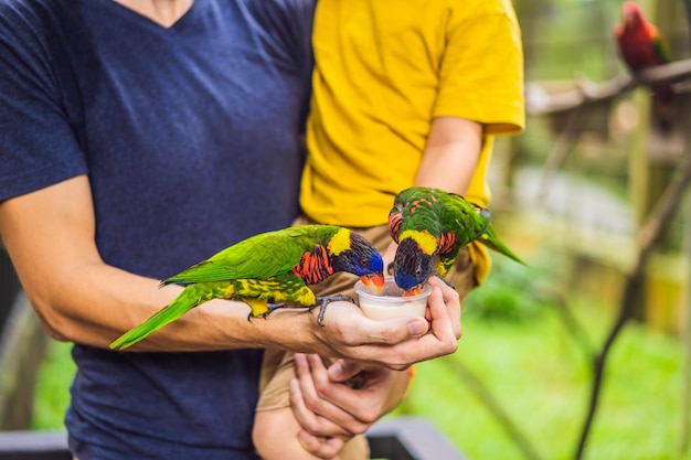 Pai e filho alimentam o papagaio no parque Passando tempo com o conceito de crianças