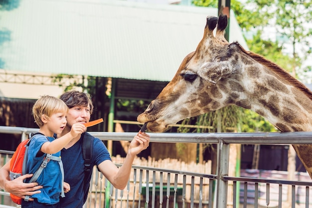 Pai e filho assistindo e alimentando girafa no zoológico. Criança feliz se divertindo com o parque de safári de animais em dia quente de verão