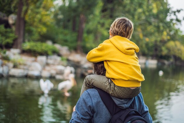 Pai e filho assistindo pelicanos na lagoa