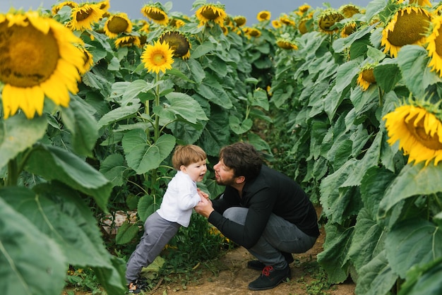 Pai e filho estão caminhando no verão em um campo com girassóis