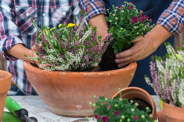 Pai e filho fazendo jardim urbano em casa. atividade que estimula a saúde mental e cerebral. plantar e cultivar flores de outono, passatempo ecológico e lazer, conceito de tempo para a família.